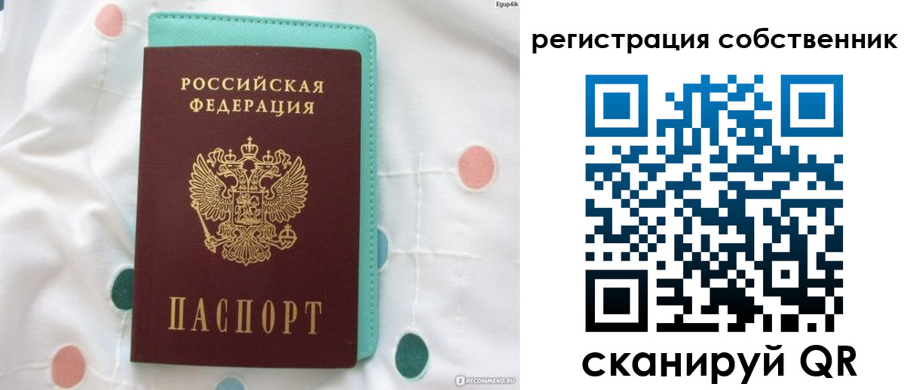 прописка для школы в Клинцах